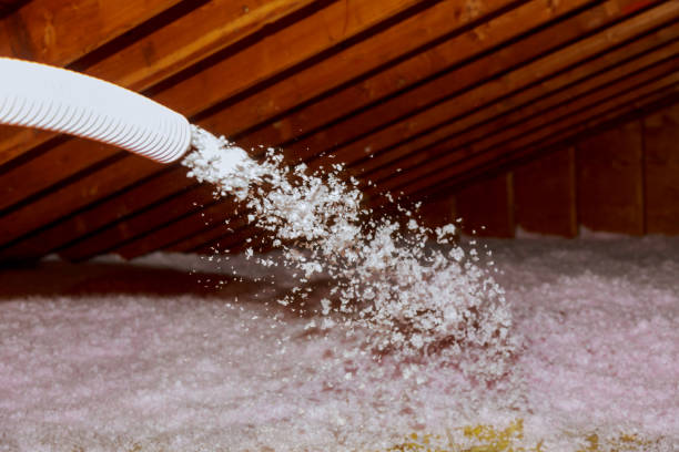 Best Insulation Installation Services in Oronoco, MN