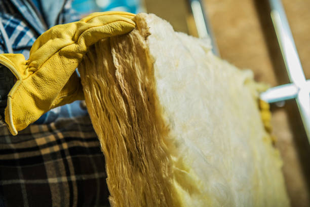 Best Types of Insulation in Oronoco, MN